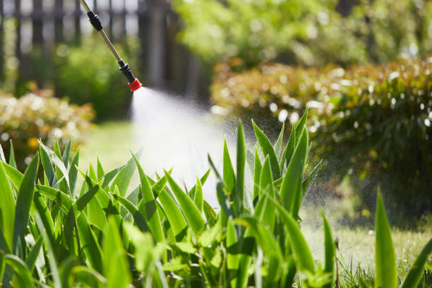 24/7 Emergency Mosquito Control experts in Helena Flats, MT
