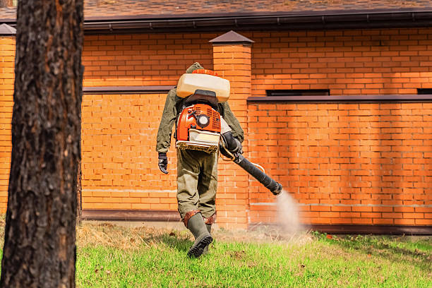 Top rated local Mosquito Control specialists in Helena Flats, MT